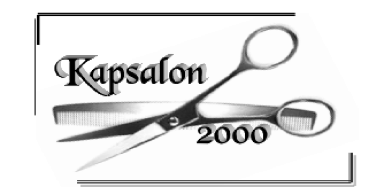 Kapsalon 2000